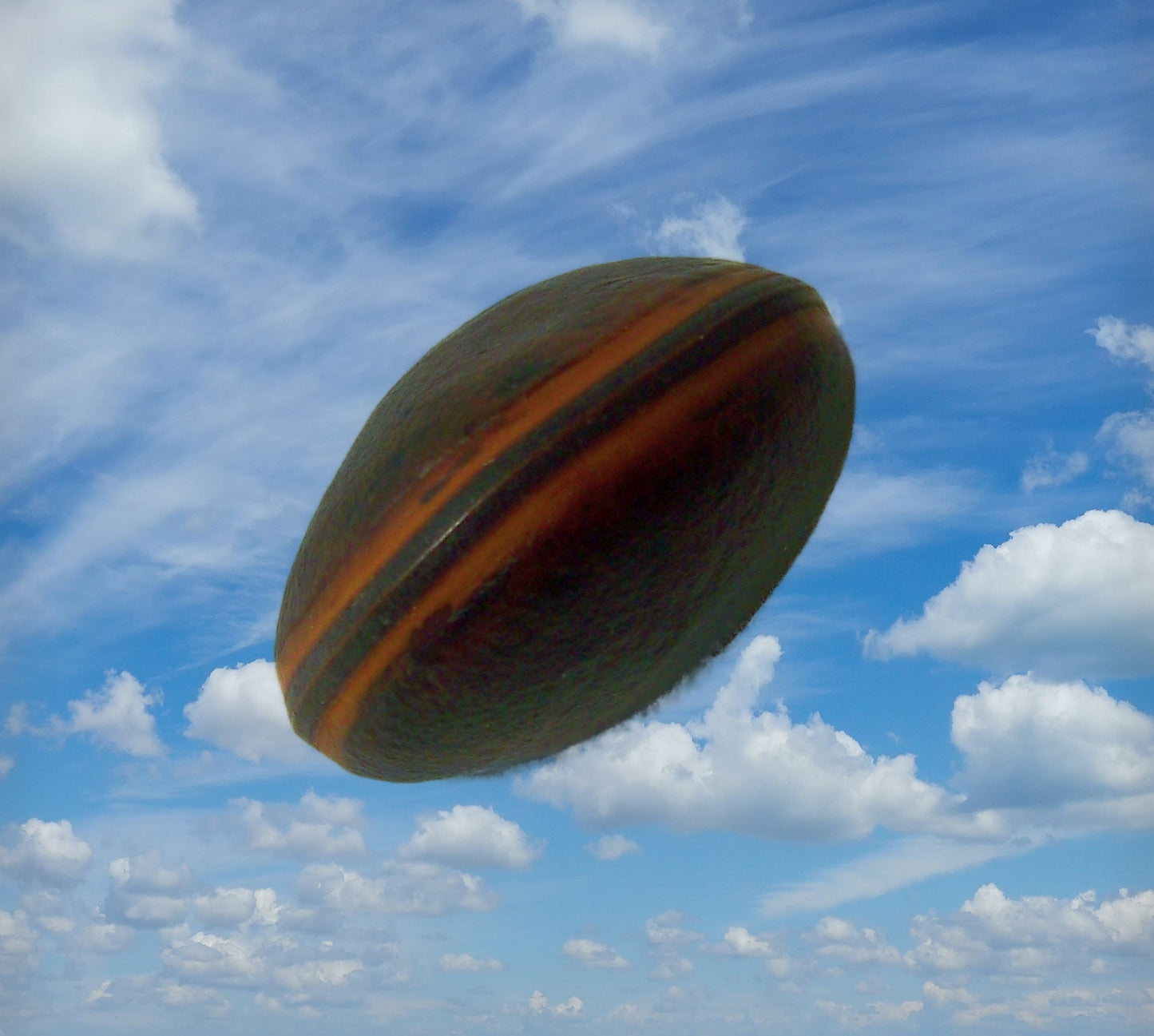 Sea Bean or Hamburger Bean